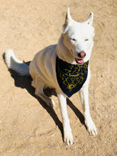 Load image into Gallery viewer, Unknown Portents Bandana worn around the neck by a smiling hell hound